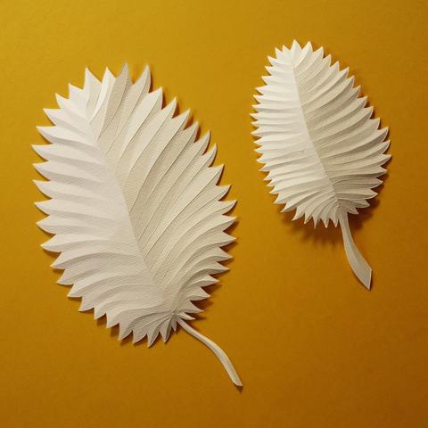 feuilles de papier découpé