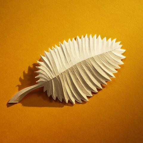 feuille de papier découpé