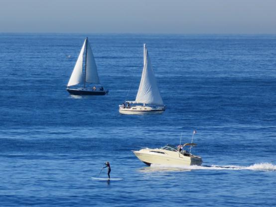 Two sailboats, a speedboat, and a paddleboarder.