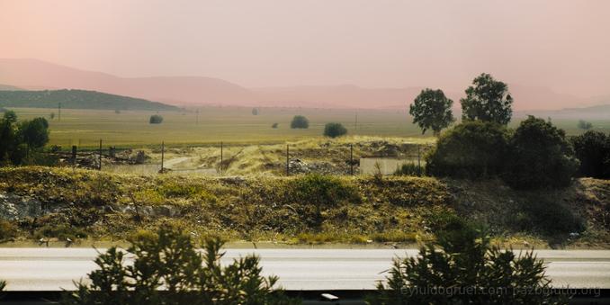landscape with pink skies