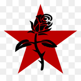 Uma rosa negra sobre uma estrela vermelha