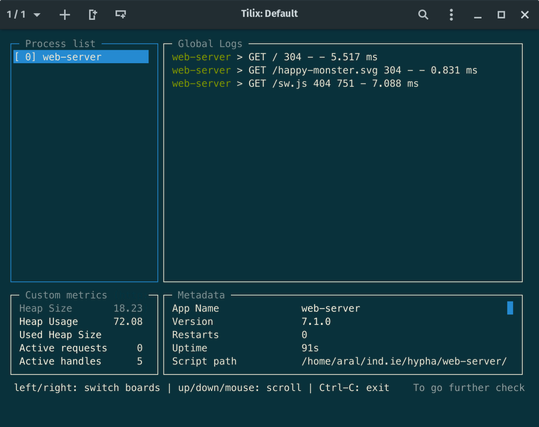 Screenshot of the pm2 process monitor showing the web-server running