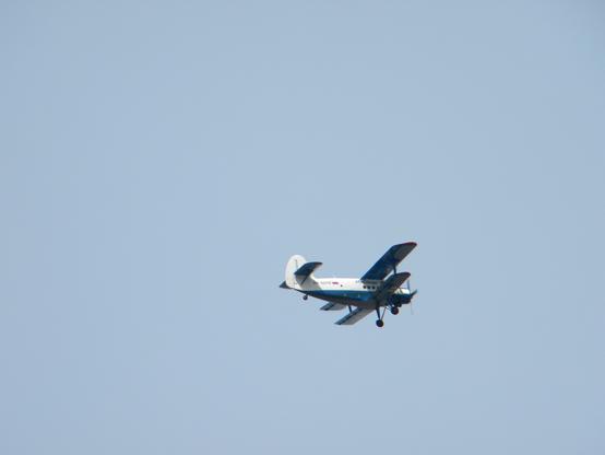 Flying Antonov An-2, UTair Cargo RA-02310