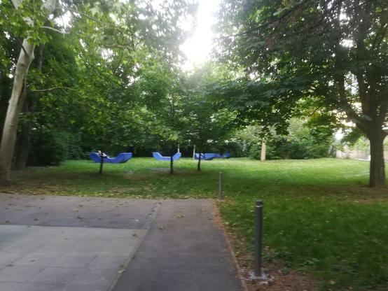 Foto des Gartens, ganz hinten sind einige blaue Enzis erkennbar.
