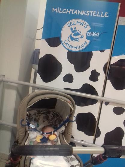 Frischmilch-Tankstelle - wo die Kids mit 10 Wochen so abhängen.