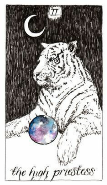 Une vieille tigresse sous une lune croissante a entre ses pattes une boule au couleurs froides.