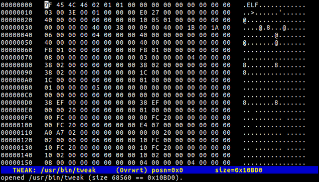 Tweak modifying its own executable.