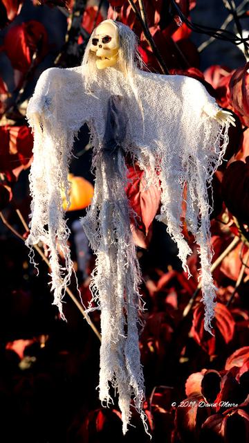 Witch hanging around