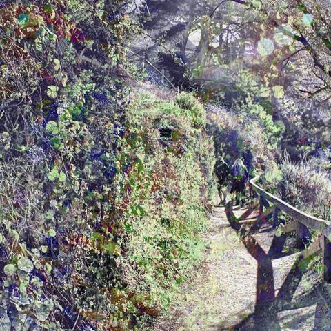 MultipleExposure #Desaturated image made with a #SamsungNX1000 + the #GNUImageManipulationProgram at the path leading to/from #McWayFalls in #BigSur, #MontereyCounty #California #USofA.
CC BY-NC-ND 4.0