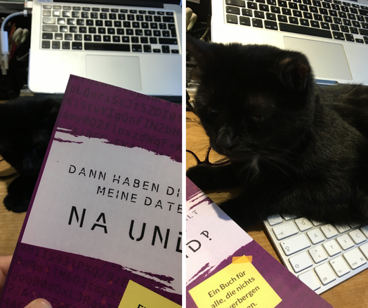 Zweiteiliges Foto, links im Vordergrund das Buch "Dann haben die halt meine Daten. Na und?!", dahinter verschwommen ein Notebook auf einem Notebookständer, links-mitte etwas schwarz-Plüschiges. Auf dem rechten Foto liegt das Buch auf dem Tisch, daneben ein schwarzer Kater, der auf der Tastatur liegt, im Hintergrund das Notebook auf dem Notebookständer.