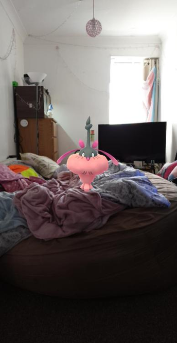 A screenshot from the pokemon AR view with a pink trash wormadam hanging out in front of a beanbag covered in messed up blankets