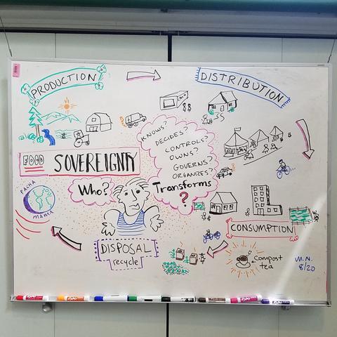 Graphic representing food system