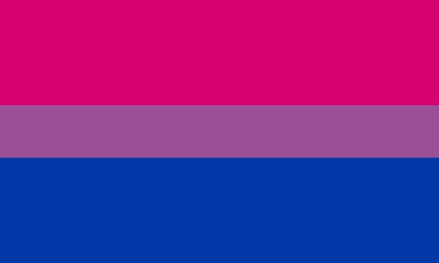 The Bi Flag designed by Michael Page in 1998. It consists of three horizontal bars: a top pink bar for the Gay world, a bottom blue bar for the Straight world, and a thin purple bar in the middle that almost blends the two, for the Bi world.