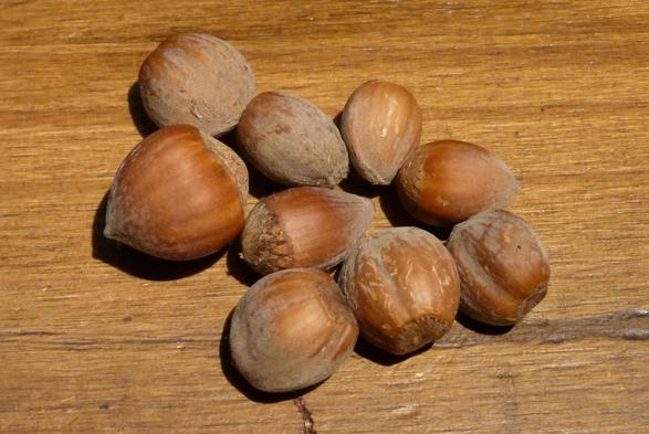 9 noisettes.