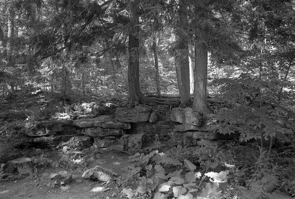 The Escarpment
