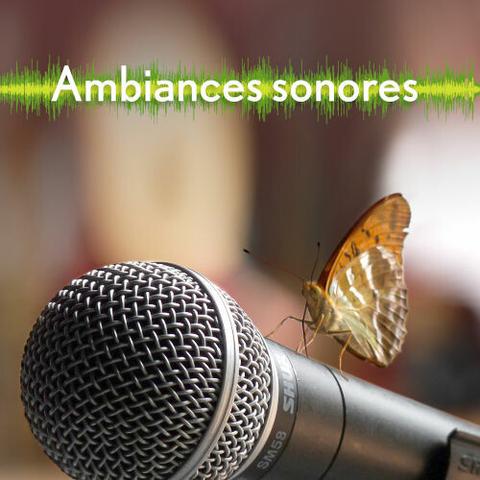 Un papillon posé sur un micro SM58.