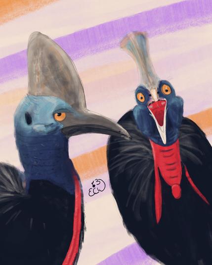 Digital Painting: Two birds standing next to each other. Left a bit more in the foreground a southern cassowary in profile looking annoyed. Right a southern cassowary beak wide oben staring directly at the viewer