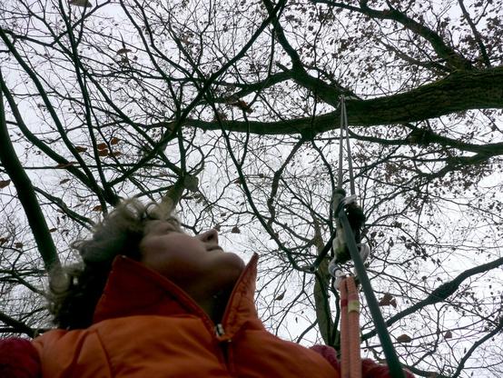 eine Person schaut Richtung himmer. Sie trägt eine orange Jacke. Sie in mit Seilen gesichert, in einem Baum ohne Blätter