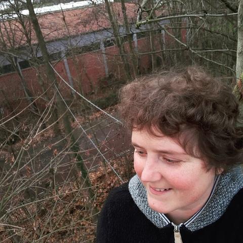 Person lächelt im Baum, hinter ihr weitere Bäume, Seile die zu einem anderen Baum führen