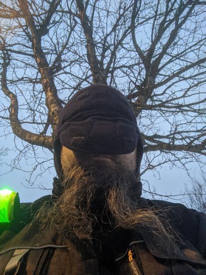 Me, a man with two-pronged beard and goatee, wearing a wool cap with its cap covering my eyes. Branches of the tree behind me appear to be growing out of my head.