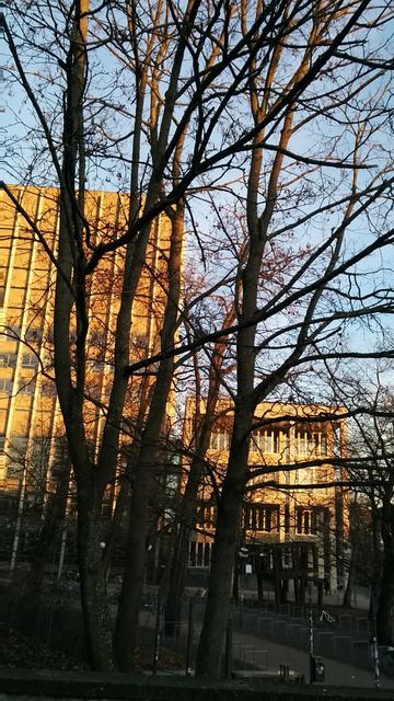 Foto auf die zwei Gebäude der KIT Bibliothek im Licht der untergehenden Sonne. Davo sind noch einige kahle Bäume.