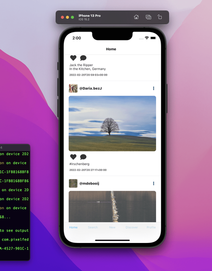 Screenshot of Pixelfed mobile app