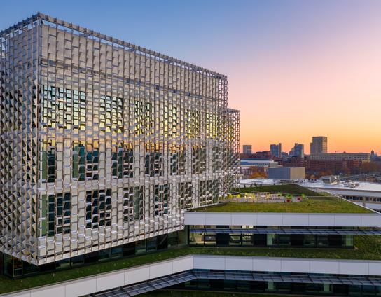 Hydroformed steel lattice screen