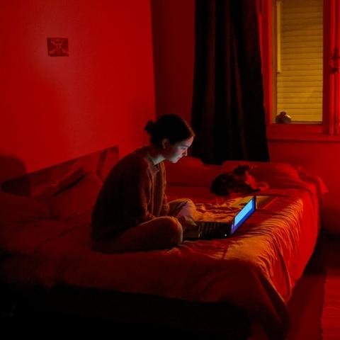 Girl on bed with laptop and cat