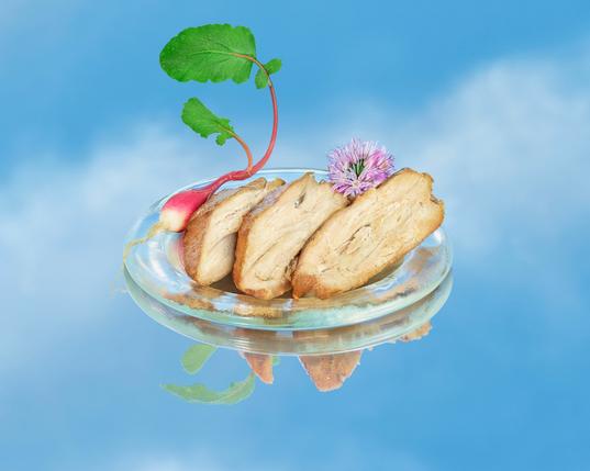 A plate of alternative meat against a blue background