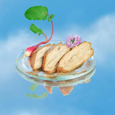 An illustration of Air Meat