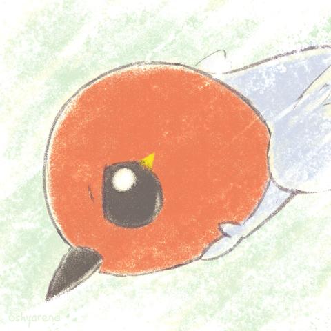 Fletchling flew downward, focused. Drawn by Oshyarena