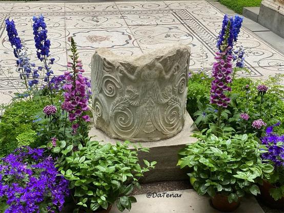 Photo taken from the East Cloister: 
Medusa visible in mosaic in background, & in foreground flowering candle larkspurs, foxgloves, sweet williams, & purple asters around a broken bas relief carved marble vessel