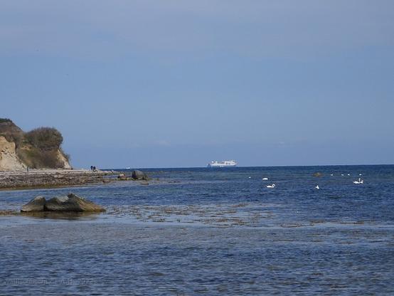 A ferry leaving Lübeck Bay from Travemünde, a part of the high coast west of Boltenhagen with some people on the stony beach in the distance. White swans swimming close to the shore.