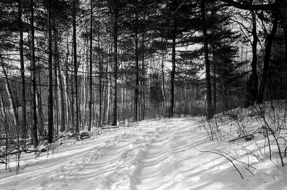 Mountsburg In Winter