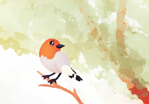 Fletchling on a branch