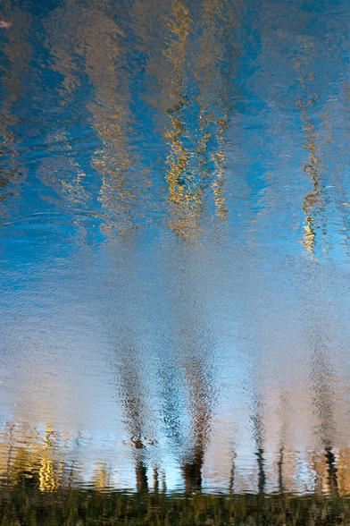 Spiegelung im Wasser: viel blauer Himmel, ein paar verschwommene Bäume und etwas Gras.