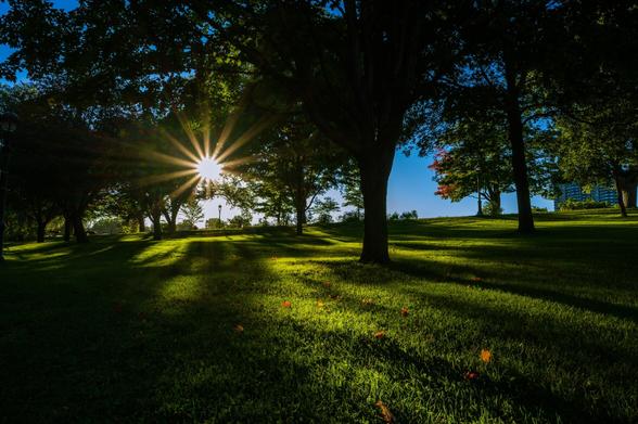 Sunstar at sunset golden hour shining through trees with deep shadows on Plains of Abraham in Old Quebec city Quebec Canada