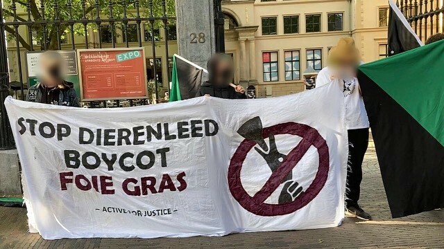Op de Hamburgerstraat, aan de overkant van Restaurant De Goedheyd (1)

Tekst banner: STOP DIERENLEED, BOYCOT FOIE GRAS

Rechts de zwart-groene vlag van het eco-anarchisme