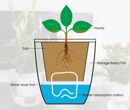 Illustration showing cross section of a self-watering potted plant setup