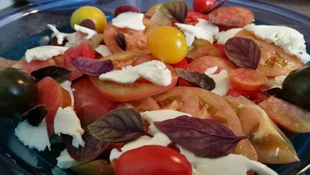 Tomaten-Mozzarella-Salat aus alten Sorten, mit Basilikum