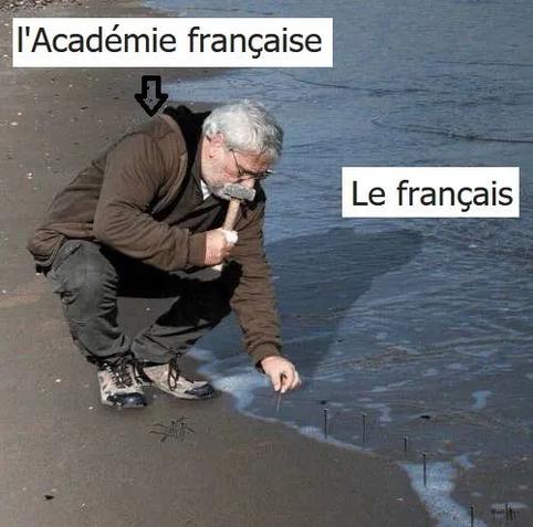 Ein Mann (l'Académie française) hockt an Strand und nagelt das Meer (le français) in Position