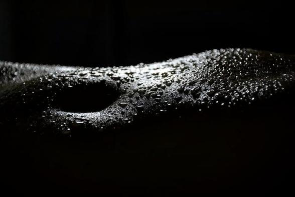 !B

The black and white picture shows a close-up of a human belly with small drops of water on it.