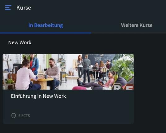 Picture of my first course in the IU learn app: introduction in new work