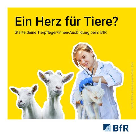 Eine junge Frau ist mit drei Ziegen abgebildet. Bei einer Ziege hört sie mit einem Stetoskop den Herzschlag ab. Dazu die Überschrift: "Ein Herz für Tiere?"