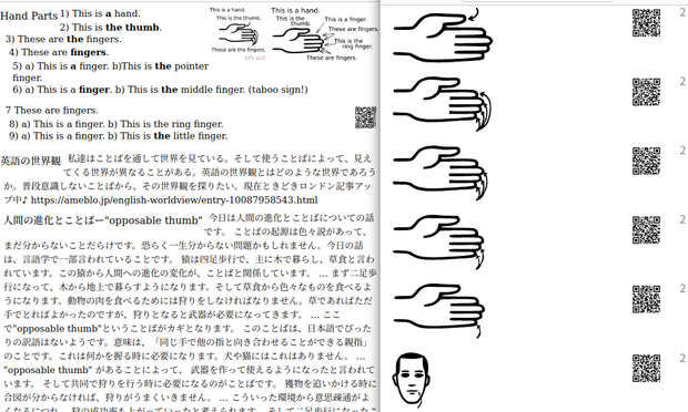 A screenshot of the two pages linked in the post.  The top part of the opposable thumb background pages is shown next to the worksheet meant to elicit precise sentences using "the thumb", "the fingers", "fingers", and "a finger."