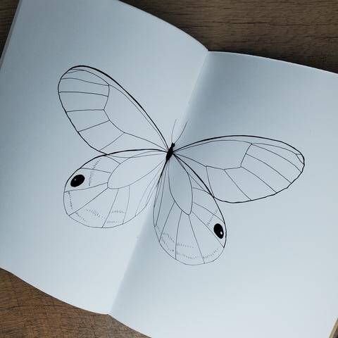 A glasswing butterfly drawn in black ink on a white sketchbook.