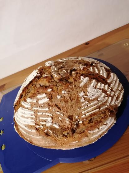 Ein frisch gebackenes Sauerteig Roggenmischbrot liegt zum Auskühlen auf einer Unterlage
