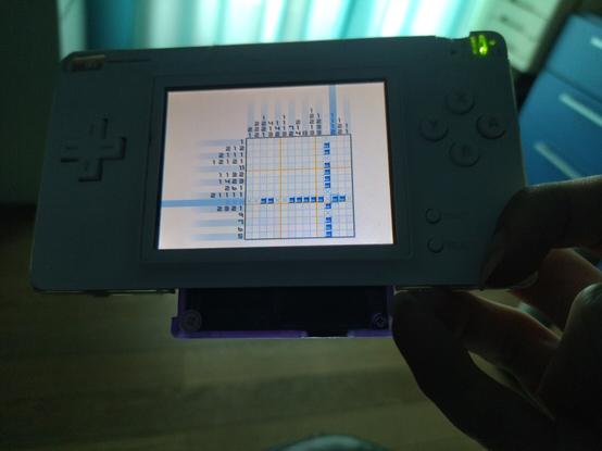 Foto del mio DSpacc che fa girare Picross DS