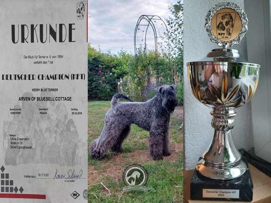 Ava in der Bildmitte, neben der Urkunde und einem Pokal.