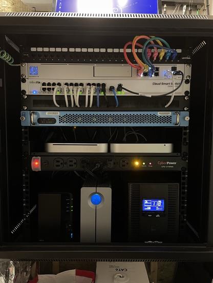 The main rack contents zoomed in for more detail. From top to bottom: an RJ45 patch panel with just 6 patch cables, a UniFi Dream Machine SE router (1U high), a MicroTik 24 port gigabit switch about half full with connected patch cables, linked to the UniFi via a 10 Gigabit SFP+ link; A blue-metal-faced 1U server with silver handles and vents, two Mac Minis on a 1U rack shelf, a power strip, and on the bottom of the rack sit two dual-hard-drive enclosures on the left, and a Tripp-Lite uninterruptible power supply on the right.